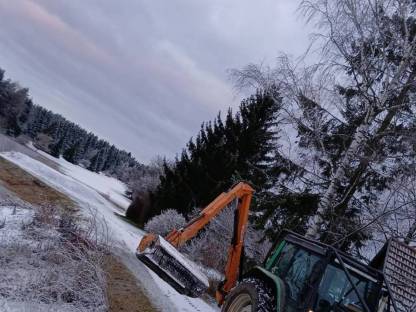 Bild 5:Holzschlägerung