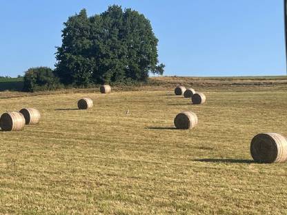 Heurundballen