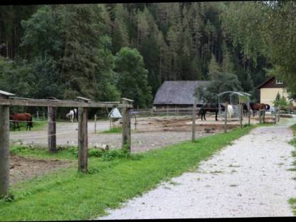 Bild 3:Einstellplätze frei