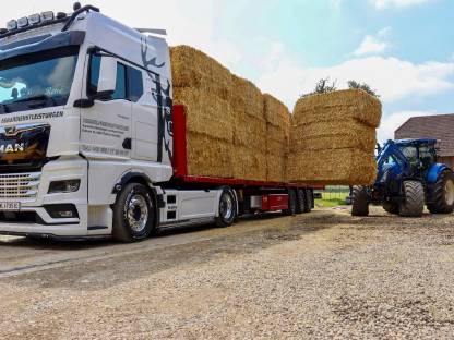 Bild 2:Stroh Quaderballen