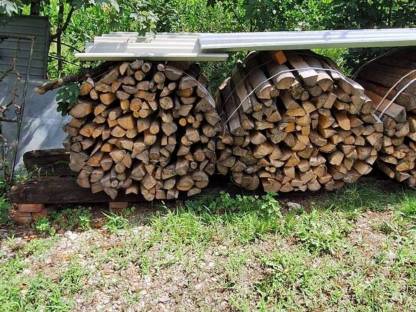 Bild 5:Brennholz Esche