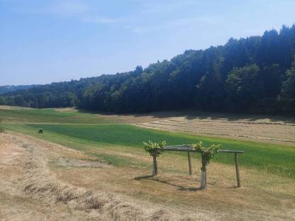 Bild 4:Heu Kleinballen