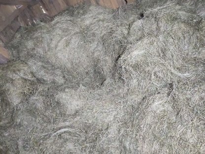 Bild 4:Heu zum Stockpressen