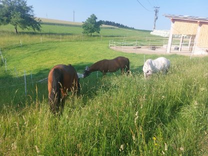 Bild 2:Einstellplatz