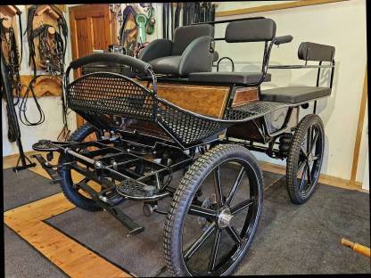 Bild 3:Trainingswagen neu