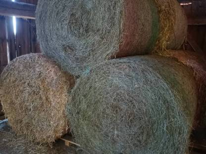 Bild 2:Bio Heurundballen