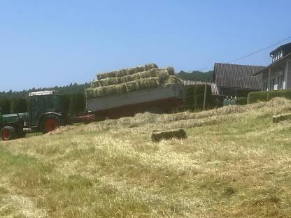 Bild 2:Heuballen klein