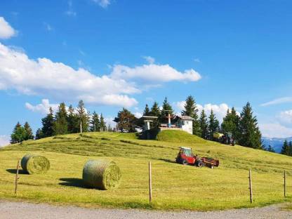 Bio Bergwiesenheu Rundballen 280 kg