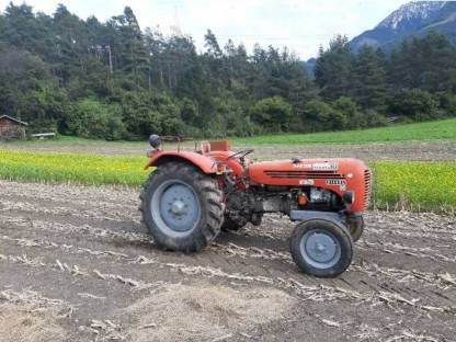 Steyr 190