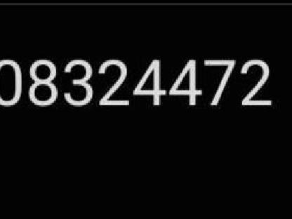 Bild 6:Silozange Mammut SC195