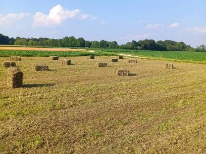 Bild 2:Heuballen