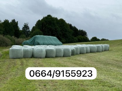 Bild 4:BIO Silageballen 1. Schnitt