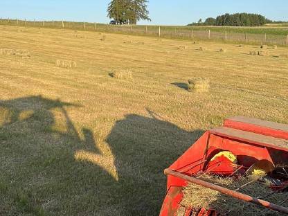 Bild 2:Heu Kleinballen