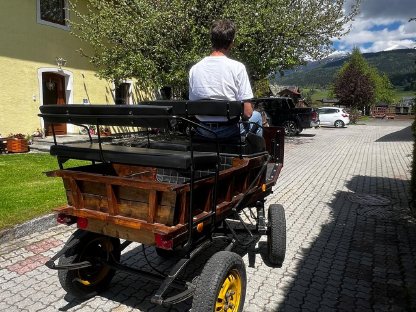 Bild 8:Kutsche für Haflinger oder Pony