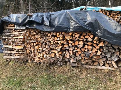Bild 2:Brennholz Fichte und Buche