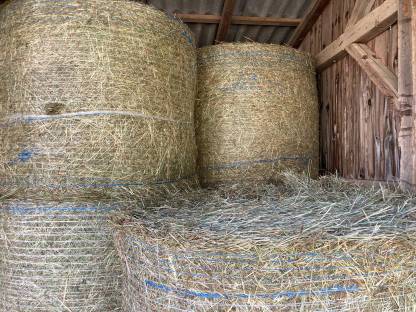 Bild 2:Heuballen 1. Schnitt - Ernte 2025