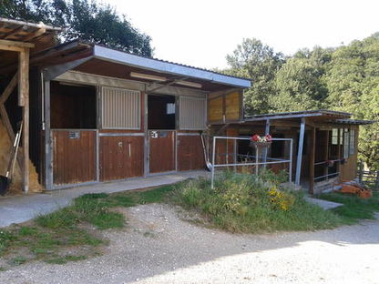 Einstellplatz frei, Außenboxen, täglich Koppel