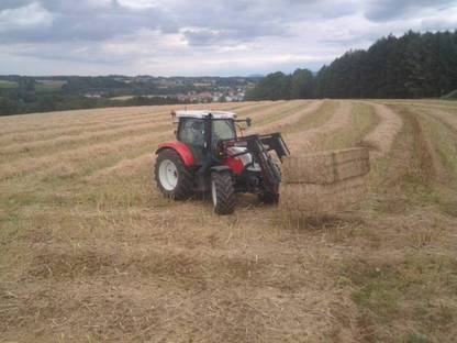 Bild 4:Strohpressen: Wir übernehmen ihre Stroharbeiten!