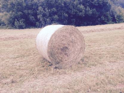 Bild 4:Ballen pressen