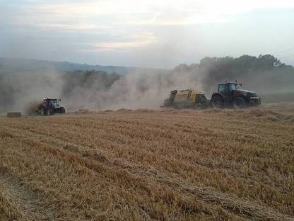 Bild 2:Strohpressen: Wir übernehmen ihre Stroharbeiten!