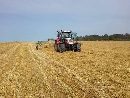 Bild 3:Strohpressen: Wir übernehmen ihre Stroharbeiten!