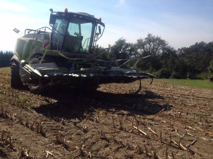 Bild 3:Silomais Ernte im Bez. Perg