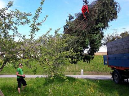 Bild 4:Lohnpressen Holzschlägerung und Gartenpflege