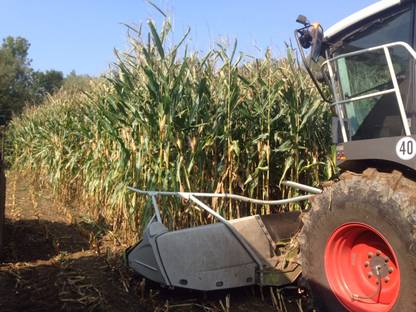 Bild 2:Silomais Ernte