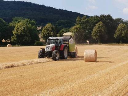 Bild 2:Lohnarbeiten Mulchen Pressen Transport Sägenspalten