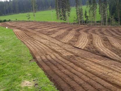 Bild 4:Steinfräsen - Forstmulchen - Wegebau