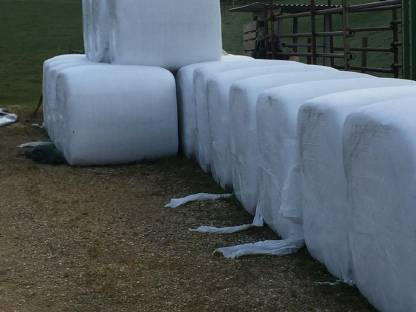 Bild 3:Mais-Quaderballen pressen und stapeln