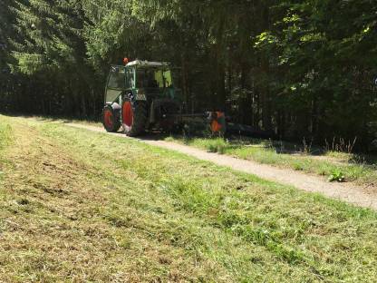 Bild 4:Mulcharbeiten, Landschaftspflege, Lohnarbeiten