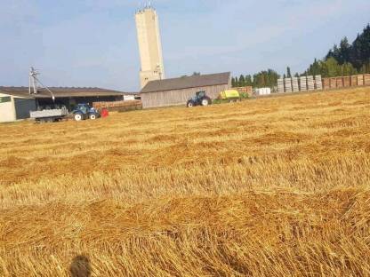 Bild 4:Wir pressen ihre Quaderballen