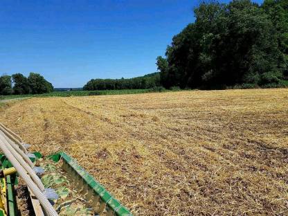 Bild 4:Stoppelsturz mit Kreiselegge