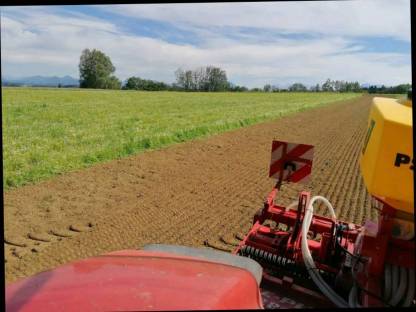 Bild 3:Rekultivierung