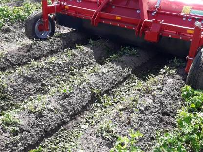 Bild 2:Krautschlägler zu vermieten