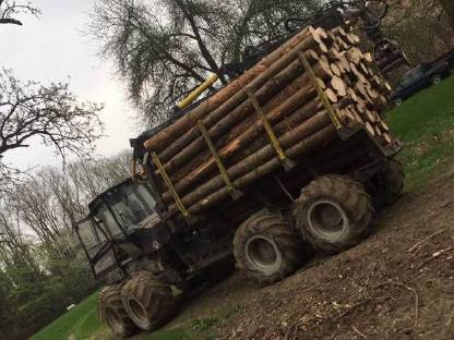 Bild 2:Holzschlägerung - Bringung - Vermarktung - Rodung