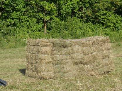 Bild 4:Übernehme Kleinballenpressen & Kleinballen bündeln