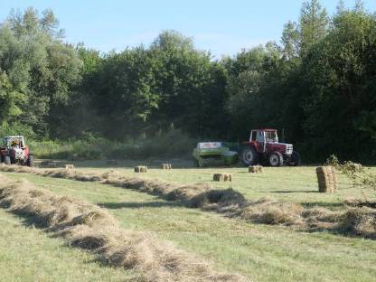 Bild 2:Übernehme Kleinballenpressen & Kleinballen bündeln