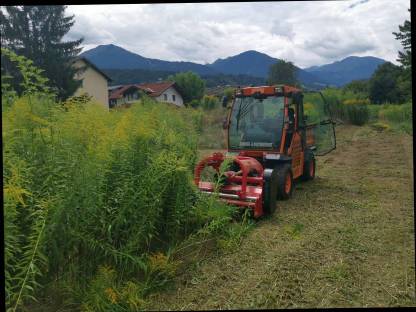 Bild 3:Böschungsmulcher Kehrarbeiten