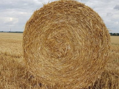 Strohrundballen