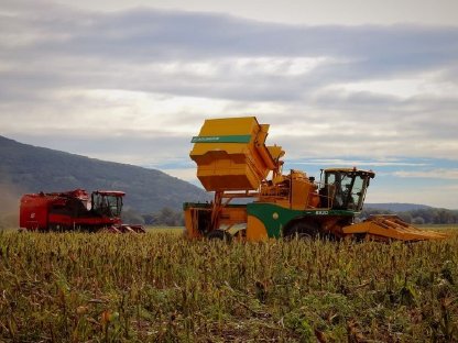 Bild 2:Saatmaispflückerfahrer/innen gesucht!