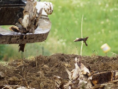 Bild 7:Wurzelstockentfernung: Wir packen jede Wurzel an!