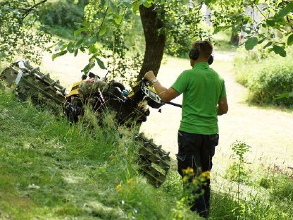 Bild 4:Mulchen & Mähen