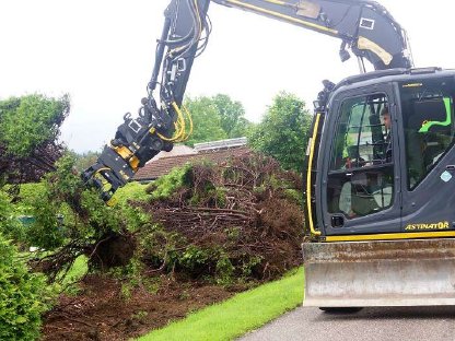 Bild 4:Baumentfernung, Heckenentfernung, Rodung, Landschaftspflege