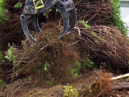 Bild 6:Baumentfernung, Heckenentfernung, Rodung, Landschaftspflege