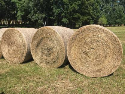 BIO Heuballen 130 cm