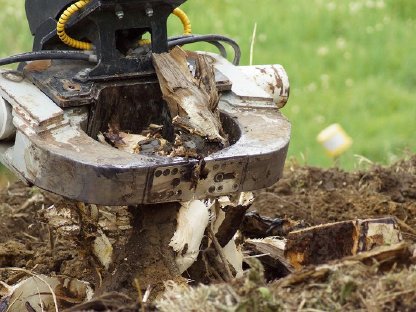Bild 5:Wurzelstockentfernung: Wir packen jede Wurzel an!