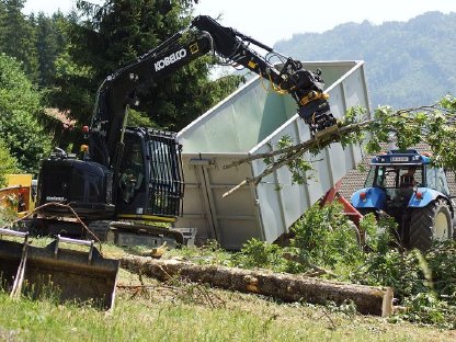 Bild 5:Baumentfernung, Heckenentfernung, Rodung, Landschaftspflege