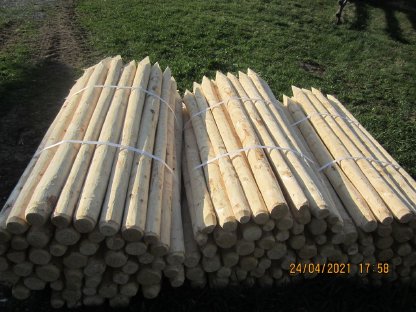 Holzpfähle